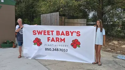 Custom Banners Photo
